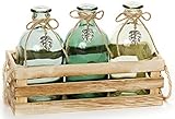 HEITMANN DECO - Holzkiste mit DREI Glasvasen -Vasen-Set in Deko-Kiste - grün - Blumenvase - mit Juteseil - Dekoration