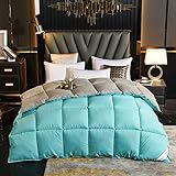 BOtizr Daunendecke 135x200 Winter,Duvet 200 X 200 cm Down All-Season,GäNsedaunendecke WäRme Duvet Quilt Winter All Season Queen King Luxury Blankets Cotton