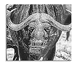 Pixxprint Wasserbüffel Herdabdeckplatte & Spritzschutz aus Echtglas | Für Herd-Kochfelder | 60x52 cm