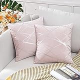 MIULEE 2er Set Samt Kissenbezug Silver Kissenbezüge Dekokissen Dekorativ Sofakissen Kissenhülle Zierkissenbezug Zierkissen Bezug Überzug Deko Kissen Bezüge Couchkissen Sofa Rosa 45x45 cm
