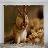 SJSXWQN Gardinen Gelbes EichhöRnchen Vorhänge mit Ösen Vorhang Blickdicht Thermo Verdunklungsvorhänge Schiebegardinen für Schlafzimmer Wohnzimmer H 138 x B 117 cm 2er Set