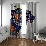 LANDOCROWN Graffiti Tier Verdunkelungsvorhänge für Jungen Teenager Schlafzimmer Bunte Wärmeisolierte Behandlung Geschäft Schaufenster Vorhänge H 190 x B 150 cm