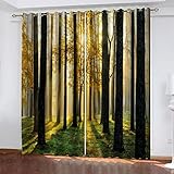 GSKOQD Gardinen Wohnzimmer Schlafzimmer 3D Druck Herbstliche Waldlandschaft Muster Blickdichter Vorhang Verdunkelungsvorhänge 200X200Cm (B X H) Ösenvorhang 2Er Set Fensterdekoration Vorhänge Blickd