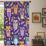 Niedliche Cartoon-Eulen Sheer Vorhang Lustige Eulen Sheer Fenster Voile Vorhänge für Wohnzimmer Schlafzimmer Zimmer Küche Esszimmer Dekor 139 x 213 cm