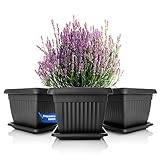 BigDean 3X Blumentopf mit Untersetzer eckig L31,5xB31,5xH27 cm anthrazit - wetterfester Pflanzkübel - Wasserablauf UV-beständig aus bruchsicherem Kunststoff - Innen + Außen geeignet - Made in Europe
