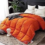 Daunendecke 135x200 Winter,Winter Duvet 240 X 220 cm,Sommer Winter WeißE GäNsedaunen Herbst Steppdecke Baumwolle Hotel Sanfte Entendaunen Geeignet FüR GroßE Bettwaren Luxus Bettdecke TröSter