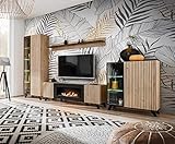 all4all Wohnzimmermöbel Set Livia Wohnwand Schrankwand Möbelset mit Led von Furnika Wohnzimmerschrank mit/ohne Biokamin Kommode Holzfüße Skandinavisch Holzdekor 21 (Set II mit Biokamin, ohne Kommode)