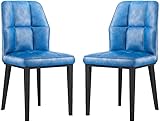Esszimmerstühle, 2er-Set, modernes PU-Leder, hohe Rückenlehne, gepolstert, weicher Sitz mit Karbonstahl-Metallbeinen, Büro, Lounge, Esszimmer (Farbe: G)