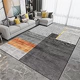 RUGMRZ Teppich Vorraum Großer Teppich Teppich Wohnzimmer orange grau geometrisches Muster weich und Nicht verblassen Room Decor 50X80CM