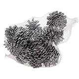Werner Voss GmbH 400g echte Zapfen Silber Weihnachten Potpourri Weihnachtsdeko Dekoration Advent Deko Tischdeko Adventskranz Basteln Schalen Herbst Wald