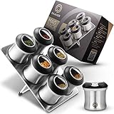 RAAVER® MagRack, Gewürzstreuer, Gewürzdosen-Set magnetisch - inklusive Gewürzetiketten - Lebensmittelgerechte Dosen aus 304 Edelstahl, Streuaufsatz BPA-frei - 6 Gewürzstreuer und 1 Lagerplatte