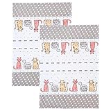 SPOTTED DOG GIFT COMPANY - 2er-Set Weiß Küche Geschirrtücher Handtuch Küchentücher 230 g Qualität Baumwolle Katzen Design 50 cm x 70 cm Geschenk für Katze Liebhaber Tea Towels Cat Design