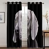 KEIBEK Verdunkelungsvorhang Kinderzimmer Junge Mädchen, 3D Modetierhund Druck Vorhänge Blickdicht Für Wohnzimmer Schlafzimmer Fensterdekoration, Gardinen Küche Ösenschal 2Er Set 210X264Cm
