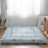 dongyu Koreanische Bodenmatratze, japanische Futon-Matratze, dicke faltbare Tatami-Matratze, kann aufrollen, Camping-Matratze, Matratze und Sofa-Matratze, (Größe: 120 x 200 cm, Farbe: C)