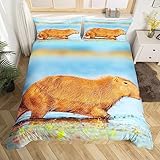 Capybara Bettwäsche Satz 220x240 Lustige Capybara Gehen im Wasser Bettbezug für Kleinkinder Kinderzimmer Schlafzimmer,Nette Nagetier Tier Tröster Abdeckung Natürliches Thema Bett mit Reißverschluss