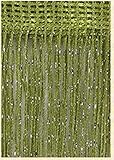 Fadenvorhang,Fadengardinen 40 Glitter Fransen String Vorhang Glänzend Quaste Flash Silber Linie String Vorhang Fenster Panel Raumteiler Fliegenschirmtür Hängen (Color : Green, Size : 100x200cm)