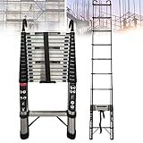 5 M / 16,4 FT Teleskopleiter Loft-Teleskopleitern aus Edelstahl, Dachleiter Ausziehbare Mehrzweck-15-Stufenleiter, Klappbare Trittleiter mit Abnehmbaren 2-Haken, EN131