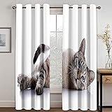 Vorhang Blickdicht Wohnzimmer Mit Ösen 3D Süßes Katzentier Druck Muster Verdunkelungsvorhang Schlafzimmer Kinderzimmer Mädchen Junge Fensterdekoration Thermogardine Ösenvorhang 2Er Set 240X230cm