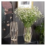 Vase 2pcs leichte Luxus -Metall -Glas -Vase -Wohnzimmerdekoration kreativer Desktop Blumenarrangement Dekoration, Blume Nicht enthalten Blumenvase