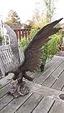 MC Dekofigur bronziert - Adler Wings of Glory - Bronzefigur Figur Deko In-/Outdoor