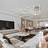 RRBEST LED Modern Deckenleuchte LED Wohnzimmerlampe Deckenleuchten Dimmbar mit Fernbedienung 10-Flammige Schlafzimmerlampe Aluminium Kronleuchter