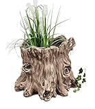 DanDiBo Pflanztopf Baumstamm aus Magnesia Blumentopf 30 cm Wetterfest Frostfest 719397-1 Pflanzgefäß Übertopf Kunststein Garten Gartendeko Dekovase Baumstumpf Holzoptik Gartendekoration