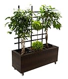 Eleganteinrichten Pflanzkübel, Pflanztrog Polyrattan mit Rankgitter 106x38x130cm Coffee braun.