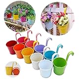 GIOVARA Blumentöpfe zum Aufhängen, 10 Stück farbenfrohe Balkon Garten Töpfe, hängend Blumentopf ohne Ablaufloch, Blumentopf aus Metall für Pflanzen, Balkontopf mit abnehmbare Henkel 13x13.5x9.5cm