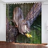 SJSXWQN Vorhang Grauer Capybara Gardinen mit Ösen Vorhang Blickdicht Thermo Verdunklungsvorhänge Schiebegardinen für Schlafzimmer Wohnzimmer H 260 x B 140 cm 2er Set