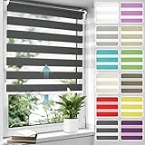 Allesin Doppelrollo schnurlos Klemmfix ohne Bohren Duo Rollos für Fenster & Tür, 100x150cm (BxH) Anthrazit, Drücken Und Ziehen Springrollos Klemmrollo ohne Schnur lichtdurchlässig & Blickdicht