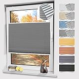 Plissee ohne Bohren Verdunklung Grau 55x220cm, Verdunklungsplissee Klemmfix 100% lichtundurchlässig, Sichtschutz & Sonnenschutz, Thermo Plisseerollo für Fenster und Tür