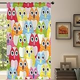 Bunte Eule Sheer Vorhang Niedlich Vogel Sheer Fenster Voile Vorhänge für Wohnzimmer Schlafzimmer Zimmer Küche Esszimmer Dekor 139 x 213 cm