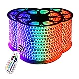 LED Licht RGB LED Streifen 60LEDs/M 5050 AC220/110V ULColor Change Light Tape IP68 Wasserdichte LED Lichtschlauch IR RGB Dimmersteuerung (Color : 24KEY IR CONTROLLER, Size : 1M RGB strip)