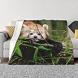 Little Red Panda Ultraweiche Mikrofleecedecke 127 x 101 cm für Bett, Sofa, Couch, Reisen, Camping, flauschig, weich, gemütlich, maschinenwaschbar