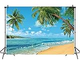 INRUI Tropischer Strand-Fotohintergrund Sommer Palmen Hintergrund Blau Meer Himmel Sonnenschein Luau Motto Party Dekoration (2,4 x 1,8 m)