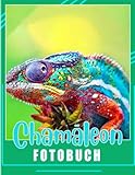 Chamäleon Fotobuch: Ein kleines Tier, dargestellt durch 40 bunte Seiten im Inneren | Geschenke für Fans jeden Alters an besonderen Tagen