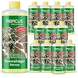 Steinreiniger Extrem, intensiver Steinreiniger für außen mit Sofortwirkung, entfernt sofort Schmutz, Grünbelag, Flechten & Algen auf und Stein in Minuten, ABACUS Steinreiniger Extrem außen 12x 1000ml
