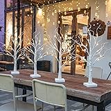 DELICHTER 4er Set Lichterbaum Lichterzweige für Innen 24 Warmweiß LEDs Bäumchen Birken Dekozweige Batteriebetrieb Weihnachtsdeko für Zuhause Party Geburtstag Hochzeit Innendekoration (60cm/2ft)