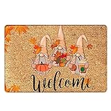 Thanksgiving Teppich Herbst fußmatte, Welcome Fußmatte für Haustür Outdoor Teppich Fussmatten Haustür Halloween Lustige Fußmatte für Hauseingänge, Flure,Badezimmer, Küche,40x60cm