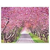 Nexos LED Wandbild Leinwandbild mit Beleuchtung Fotodruck Allee 30x40 cm Kunstdruck Leuchtbild Frühling Blüten 40 Glasfaser-LED weiß