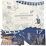 Saatgut Adventskalender 2022: Nachhaltiger Blumen Samen Adventskalender 2022 – Weihnachtskalender 2022 – Blumensamen als Garten Geschenke für Frauen, Männer, Kinder – DIY Adventskalender von OwnGrown