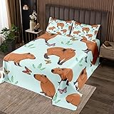 Kawaii Capybara 240Bx260L Bettdecke Set Girly Schmetterling Deckbett Set, Braun Teal Bettwäsche Set Wild Tier Bettwäsche Set, Botanische Pflanzen Blätter Bett Bettdecke Luxuriöse Zimmer Dekor