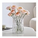 Glasvase Pflanzen Blumenarrangement Vasen Licht Luxus Transparente Dekoration auf Wasserbasis Einzigartige Textur Hochzeitsgeschenk