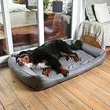 your GEAR Belluno 90x140 cm orthopädisches Hundebett, Hundekorb, Oeko-TEX, waschbar, geruchsfrei & hygienisch