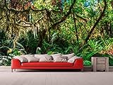 Oedim Vinyl Wand Urwald | Fototapete für Wände | Wandbild | Dekoratives Vinyl | Verschiedene Maße 600 x 300 cm | Dekor Esszimmer, Wohnzimmer, Zimmer