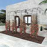 LekLai Gartenbogen Für Den Außenbereich, Rosen-Halbbögen, Laube, Wachstumsunterstützung Für Kletterpflanzen, Für Garten-Hotelparty, 1 Set, Hoch 240 cm, Breit 60 90 120 150 180 220 240 cm/Onecolor/15