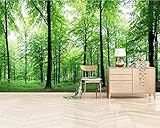 Fototapete 3D-Wandbild Landschaft Und Pflanzen Grüner Urwald Abziehbares Wandposter, Tv-Hintergrund, Dekorative Wandkunst, Wandkunst Für Kinderzimmer, Wohnzimmer, Schlaf 400 (Breite) x 280 (Höhe) cm