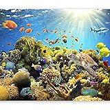 murando Fototapete Aquarium 350x256 cm Vlies Tapeten Wandtapete XXL Moderne Wanddeko Design Wand Dekoration Wohnzimmer Schlafzimmer Büro Flur Unterwasserwelt Korallen Riff Fisch Ozean b-A-0002-a-a