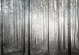 decomonkey Premium Fototapete Baumkronen Wald 400x280 cm Tapete Fototapeten Vlies Tapeten Vliestapete Wandtapete moderne Wand Wandbild Schlafzimmer Wohnzimmer Baum Natur Schwarz Weiß