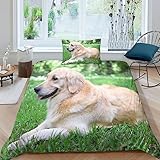 SONLED Golden Retriever 3D Gedruckter Bettbezug Set 2 Teilig Mädchen Junge Kinder Loyal Animals Bettwäsche Microfaser Bettwäsche Garnitur Reissverschluss Mit ReißverschlussSingle（135x200cm）